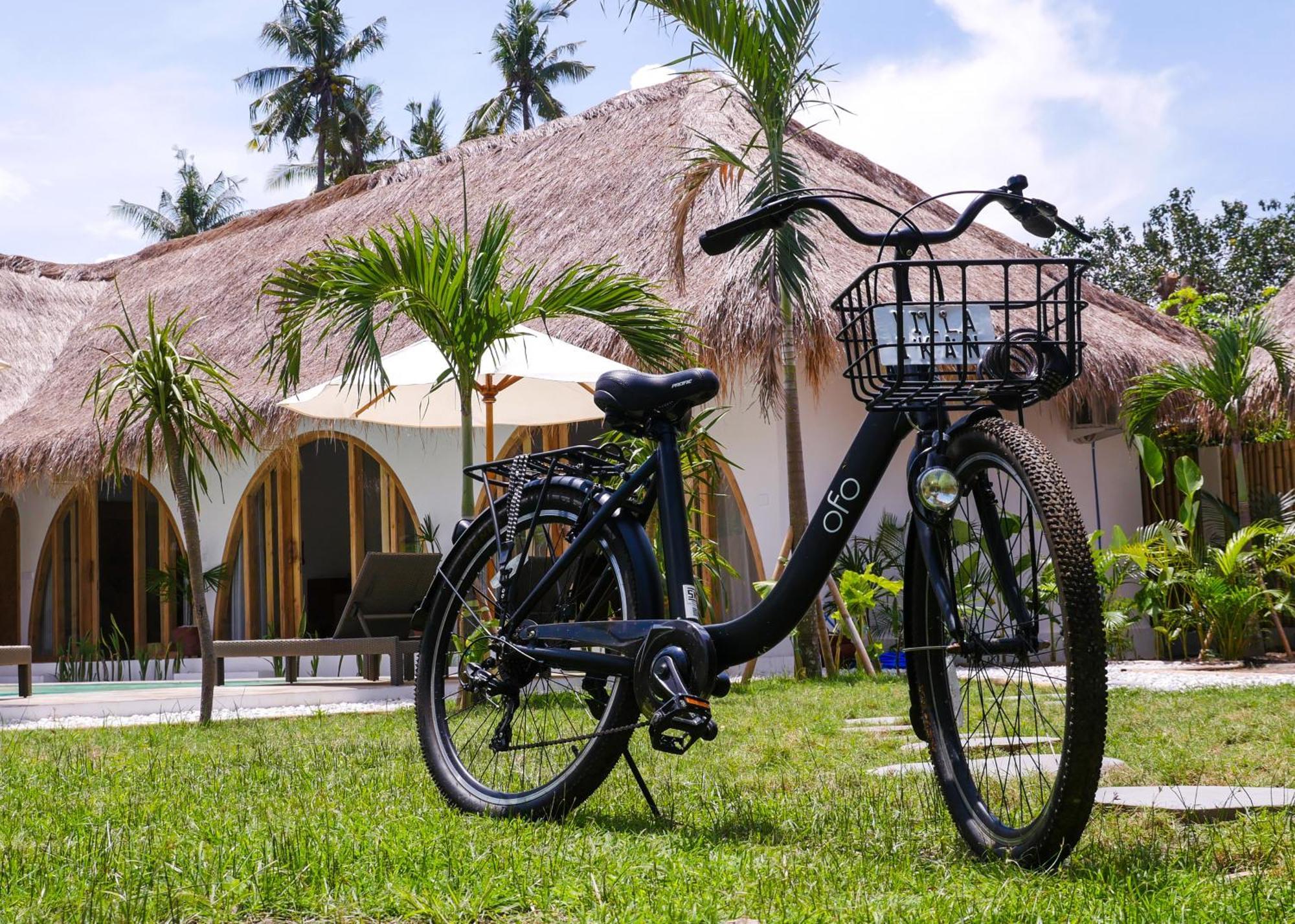 Ikan Gili Air